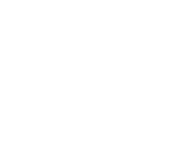 Everon logo